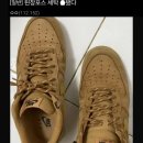 세탁하다 이미지