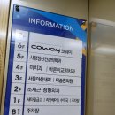 손약국 | 춘천 온의동 서울 아산내과 진료 후기