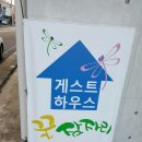 꿀잠자리 이미지