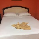 태우하우스 이미지