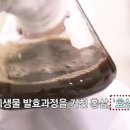 진가식품 이미지