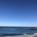 르꼼떼블루 이미지