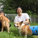 구릉산추어탕