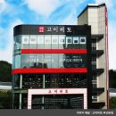 고이비토해운대 이데일리