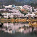 경충대로 2709번길 3 이미지