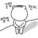 동양포목 이미지