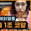 피알브이 이미지