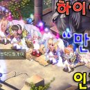 힐신은고양이