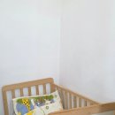 제미니국수 이미지