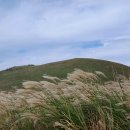 새별오름 이미지