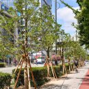 해운대해변로 이미지