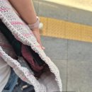 둔산중로 | 나 혼자 대전 2박 3일 여행(1) 뜨개 그리고 2026 대전 식품안전마라톤