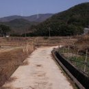 부근농장 이미지