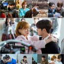 행복하시개 이미지