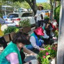 봉평동행정복지센터 이미지