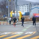 제10회 의왕마라톤 대회 2025.11.30 - 무단횡단 벌금 부과 색출중 이미지