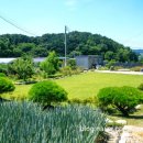 계룡산힐링민박 이미지