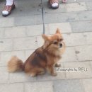 준스마켓