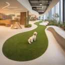 힐링 펫 카페 이미지