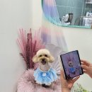 쉬리미용실
