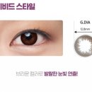 뉴아이리스안경