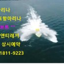 에이앤티레저 이미지