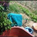 율동주유소 이미지