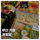 과일담일광점 - 11250 | [FOOD]부산 기장 일광 과일담 과일맛집 프리미엄 명절 과일 선물 솔직후기