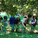 밤섬농장 이미지