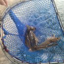 창내농장 이미지