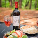 2017 광명동굴 대한민국 와인 페스티벌 | 고급스러운 와인선물 추천 오미나라오미로제와인선물세트