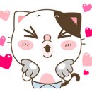 모닝세차