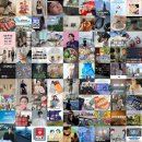 서부초이지소 | 블로그 인기 포스팅만 모아: 매일 최신의 인기 블로그 포스팅을 한곳에서!! (2025.09.22 17:16)