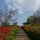 푸른산내들 이미지