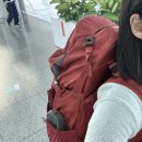 안연일농장 | 여자혼자 방콕여행 일정, 코스, 투어 - 수완나폼공항 그랩, 지하철 이용방법, 아유타야 선셋투어...