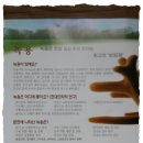 진석농장 이미지