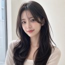 지은헤어 - 68641 | 지은헤어