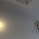 원조한치회 이미지