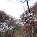 구룡3리경로당 | 안드레아의 추계 치악산둘레길 2코스 구룡길, 1코스 꽃밭머리길, 11코스 한가터길 역방향 연속 2022-11-22