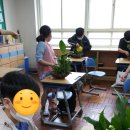 신진초등학교 | 학교텃밭프로그램(기장군농업기술센터, 신진초등학교)