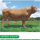 현태농장 이미지