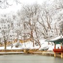 왕의 정원 이미지