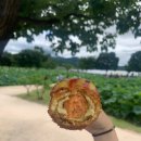 용골가든 이미지