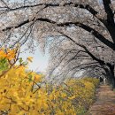 분당구청 이미지