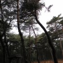 명고영정 | 통도사 19암자 순례길 종주