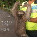 내가 그리는 진영 | 돈 있냐고? 민생소비쿠폰이 다야