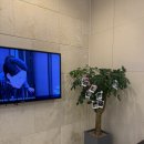 양정치과의원 이미지