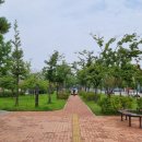 나래솔공원 이미지