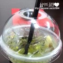대구 동성로 스터디룸 추천 * 동성로 아이원스터디룸 + 서포터즈 첫 팀 미션 후기 :)