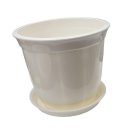 다올피엔씨 이미지